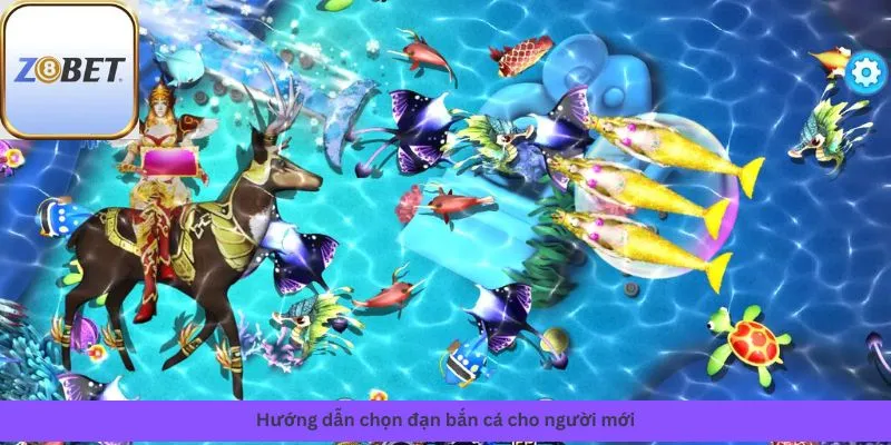 Chọn đạn bắn cá 2 Hướng dẫn chọn đạn bắn cá