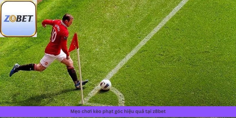 Mẹo chơi hiệu quả