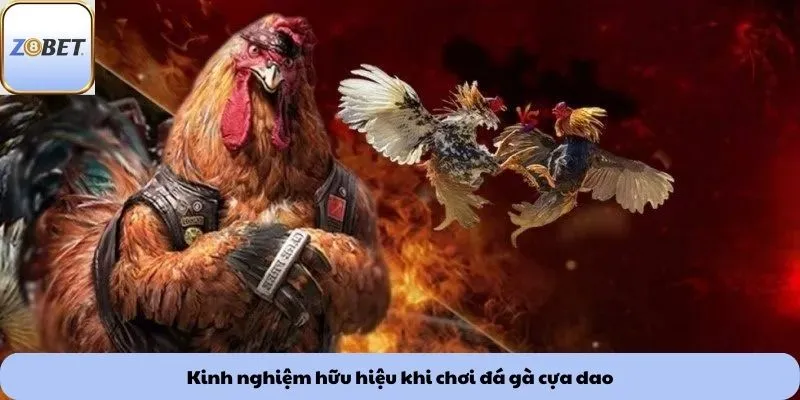 Kinh nghiệm hữu hiệu khi chơi đá gà cựa dao