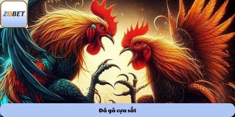 đá gà cựa sắt