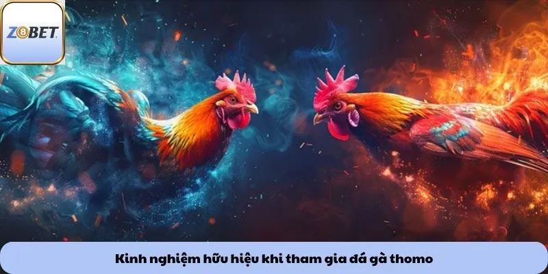 Kinh nghiệm hữu hiệu khi tham gia đá gà thomo