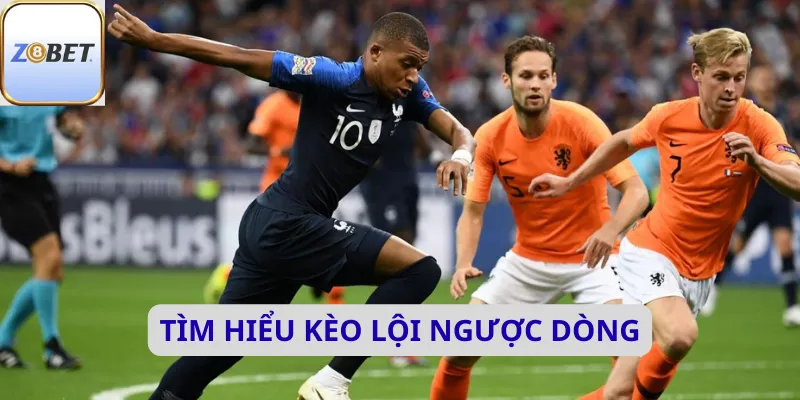 Kèo lội ngược dòng 2 Tìm hiểu kèo lội ngược dòng